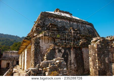 Palenque-the Remains Of An Ancient Mayan Civilization, Well-preserved In The Selva Of The Southern S