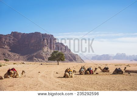 Wadi Ram Desert. Jordan Landscape