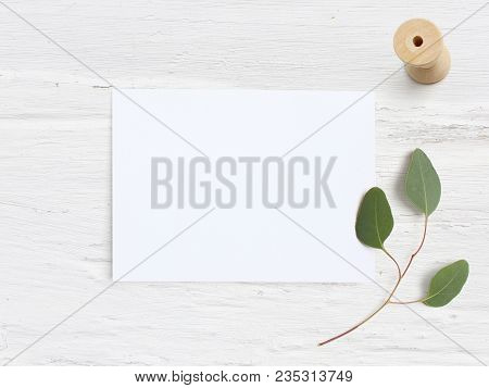 Feminine Wedding Desktop Mock-up With Blank Paper Card, Wooden Spool And Eucalyptus Populus Branch O