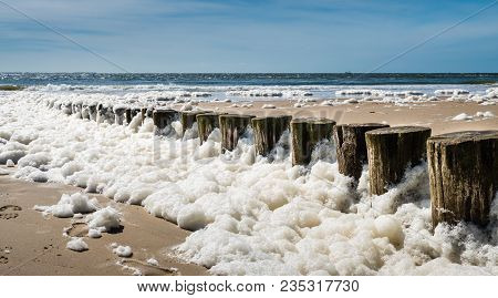 Foam Algae Stuck To A Wooden Breakwater Along The Dutch Coast Of The Wadden Island Of Ameland, Nethe