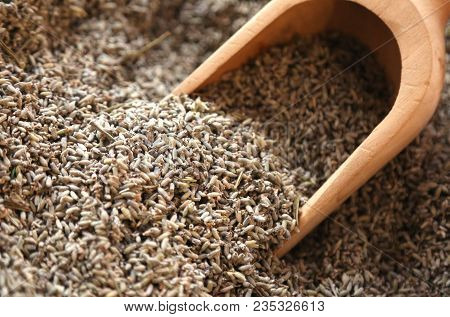 Wooden Serving Spoon With Many Dried Flowers Of Lavender