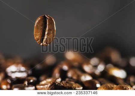 Flying Coffee Bean Over Dark Blured Background.