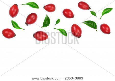 Rosehip Berries Decorated With Green Leaves Isolated On White Background. Flat Lay Pattern. Top View