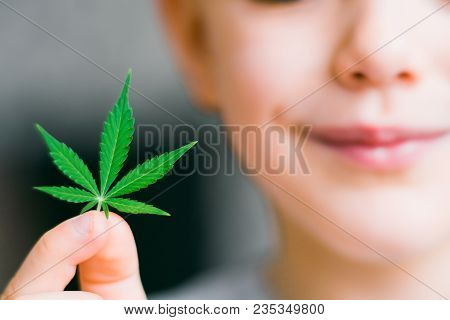Smiling Kid Child Holding A Hemp Leaf. Concepts Of Using Marihuna For Medicinal Purposes For Childre