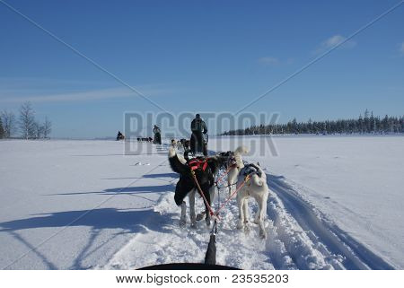 Husky Ride
