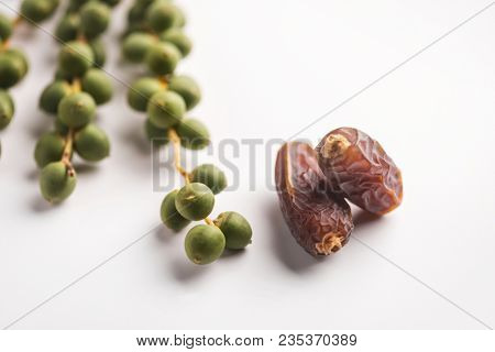 Bunch of tender, green dates placed along with rippen sweet date fruits. Best quality Saudi dates samples from the wadi. Studio shot on white background.