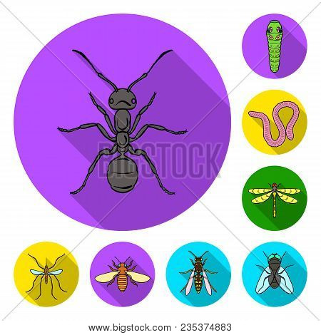 Different Kinds Of Insects Flat Icons In Set Collection For Design. Insect Arthropod Vector Symbol S