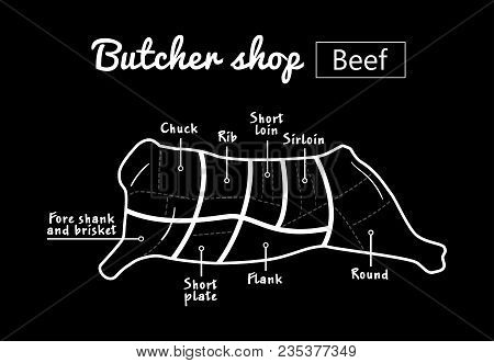 Cut Of Beef Set. Poster Butcher Diagram - Cow. Vintage Typographic Hand-drawn. Vector Illustration