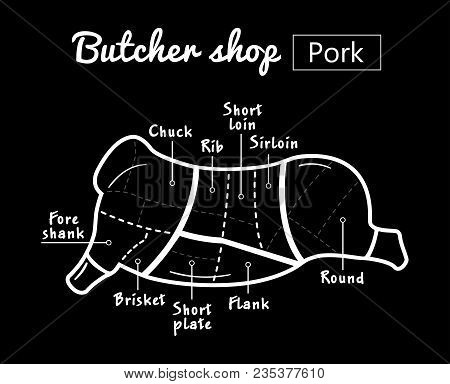 Cut Of Meat Set. Poster Butcher Diagram, Scheme And Guide - Pork. Vintage Typographic Hand-drawn On 