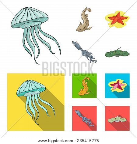 Jellyfish, Squid And Other Species.sea Animals Set Collection Icons In Cartoon, Flat Style Vector Sy