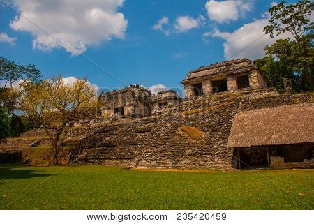 Chiapas, Mexico. Palenque. The Ruins Of The Great City Of Maya In The North-east Of The Mexican Stat