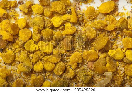 pollen loads - macro photo of bee pollen - perga (bee bread)