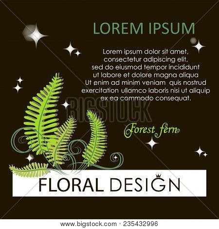 Flowering Fern. Forest Fern At Night. Poster, Label, Green Flower Card With Place For Text. The Imag