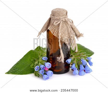 Symphytum Or Comfrey With Pharmaceutical Bottle  Isolated