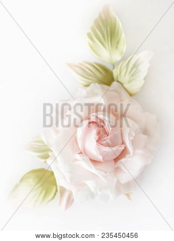 Realistic Fabric Silk Flower In Light Pink Cream And White Colors Rose Hand Made On White Blurred Ba