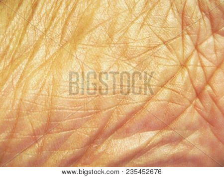 Human Foot Skin Texture, Close Up Photography