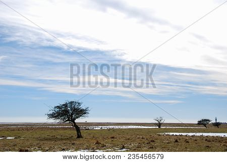 Early Springtime At The Fields By The Lighthouse At Ottenby On The Swedish Island Oland In The Balti