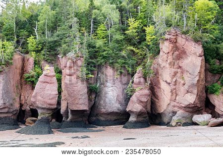 The unusual rock formations at Hopewell Rocks, Bay of Fundy, New Brunswick. The extreme tidal range of the bay makes them only accessible at low tide. 