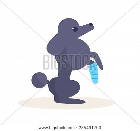 Dog With A Broken Leg. Vector. Cartoon. Isolated Art On White Background. Flat