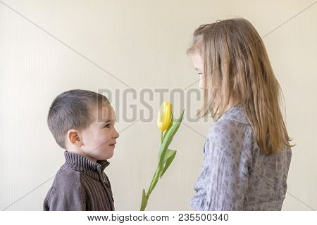 The Little Gentleman Gives The Girl A Bunch Of Flowers. The Little Boy Gives Yellow Tulip