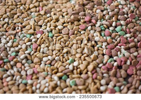 Dry Pet Food Background - A Lot Of Pieces Of Food In Flat Position.