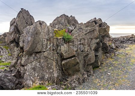 Rocky Cliffs On The Coast Of The Barents Sea Along The Varanger