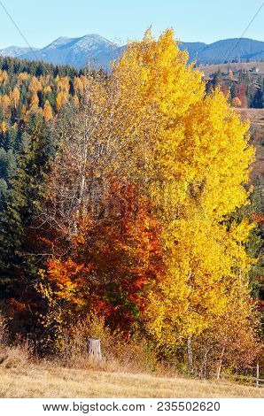 Morning Carpathian Mountains And Village Hamlets On Slopes (yablunytsia Village And Pass, Ivano-fran
