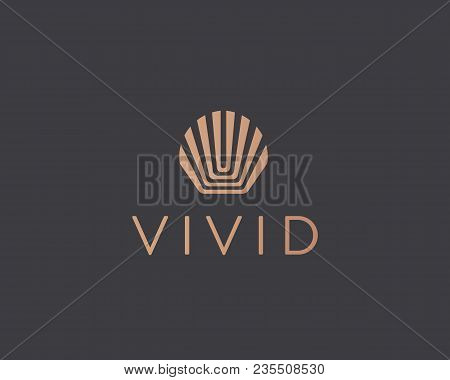 Abstract Shell Flower Sun Logo Design. Premium Crown King Vector Logotype.