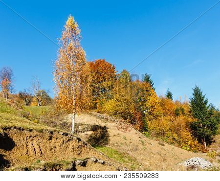 Autumn Carpathian Mountains Landscape With Multicolored Trees On Slope (rakhiv District, Transcarpat