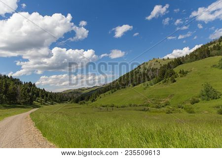 Lush, Green Summer Landscape With Bright Blue Sky In Remote Area Of Highwood, Montana, Usa.