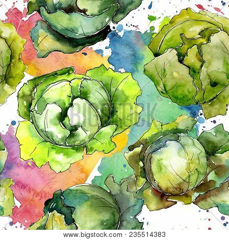 Green Cabbage Vegetables  In A Watercolor Style Pattern. Full Name Of The Vegetablles: Cabbage. Aqua