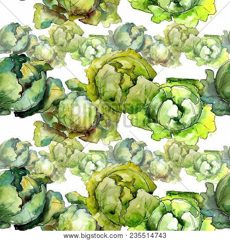 Green Cabbage Vegetables  In A Watercolor Style Pattern. Full Name Of The Vegetablles: Cabbage. Aqua