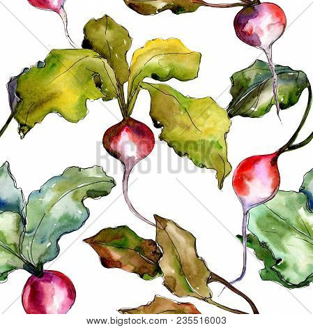 Red Radish Vegetables  In A Watercolor Style Pattern. Full Name Of The Vegetablles: Radish. Aquarell