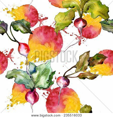 Red Radish Vegetables  In A Watercolor Style Pattern. Full Name Of The Vegetablles: Radish. Aquarell