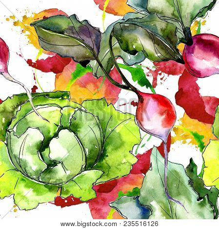 Red Radish Vegetables  In A Watercolor Style Pattern. Full Name Of The Vegetablles: Radish. Aquarell