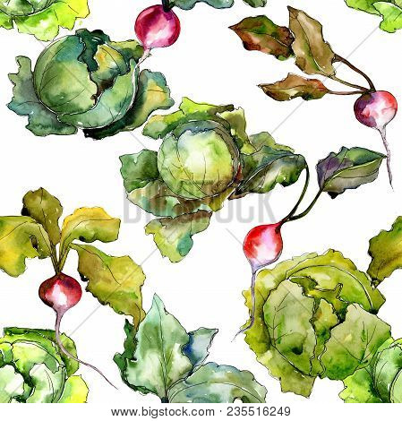 Red Radish Vegetables  In A Watercolor Style Pattern. Full Name Of The Vegetablles: Radish. Aquarell