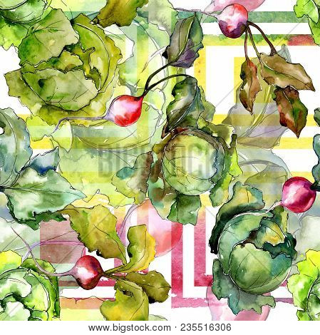 Red Radish Vegetables  In A Watercolor Style Pattern. Full Name Of The Vegetablles: Radish. Aquarell