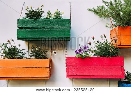 Multicolored Wooden Boxes With Flowers Hanging On The Wall