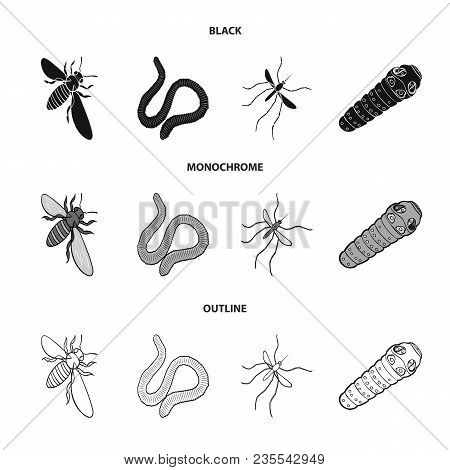 Arthropods Insect Mosquito, Bee.earth Worm, Caterpillar, Vermicular Set Collection Icons In Black, M