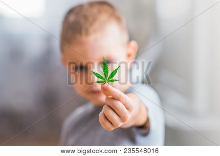 Smiling Kid Child Holding A Hemp Leaf. Concepts Of Using Marihuna For Medicinal Purposes For Childre