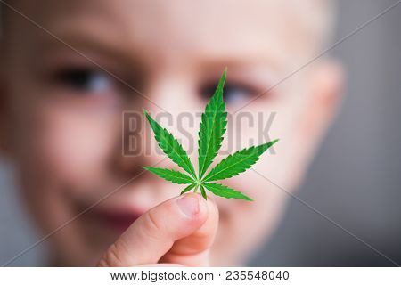Smiling Kid Child Holding A Hemp Leaf. Concepts Of Using Marihuna For Medicinal Purposes For Childre