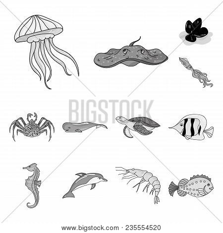 A Variety Of Marine Animals Monochrome Icons In Set Collection For Design. Fish And Shellfish Vector