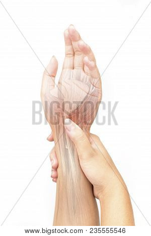 Wrist Muscle Pain White Background Wrist Pain