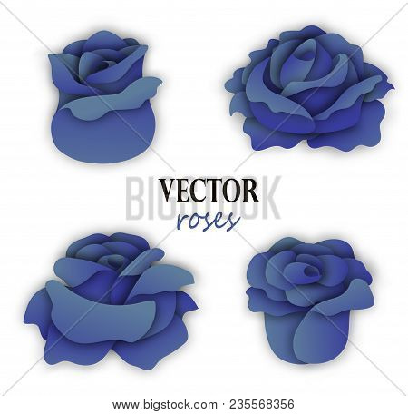 Set Of Four Paper Blue Roses. 3 4 View On The Flowers. Floral Elements For Design. Vector Illustrati