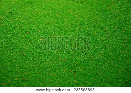 Texture Of A Colored Granular Sand Close Up. Green Grains