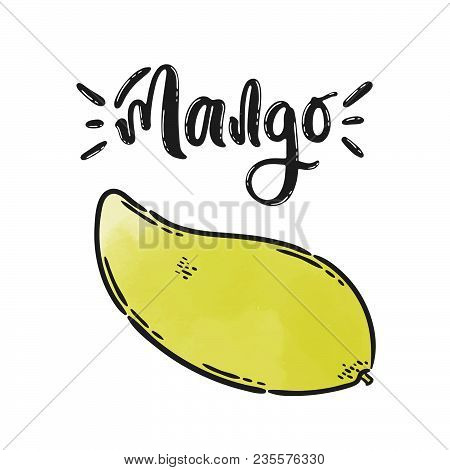 Vector Hand Drawn Illustration. Mango Lettering, Fruit. The Idea For Poster, Posctcard.