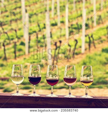 Glasses With Wine. Red, Pink, White Wine In Glasses. Set Of Glasses With Red, White And Rose Wine Ta