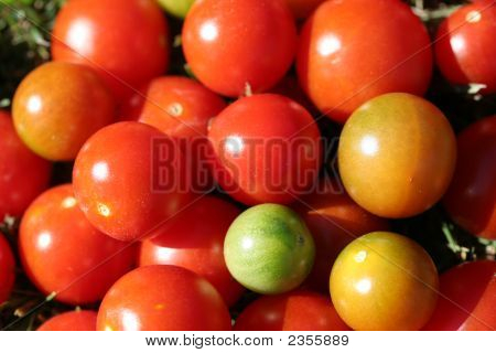 Cherry Domates