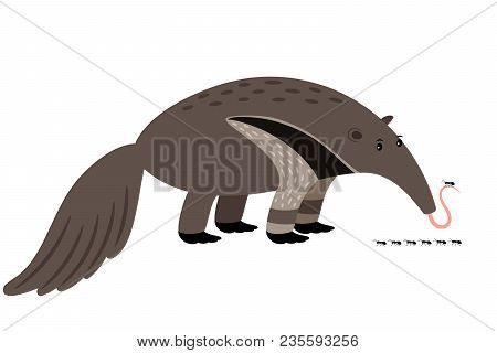 Ant-eater Cartoon Animal Icon Isolated On White Background, Vector Illustration