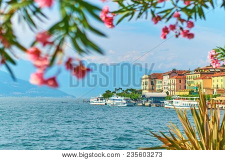 Amazing Sunny Summer View Of Bellagio Town At Lake Como In Italy With Blooming Nerium Oleander Flowe